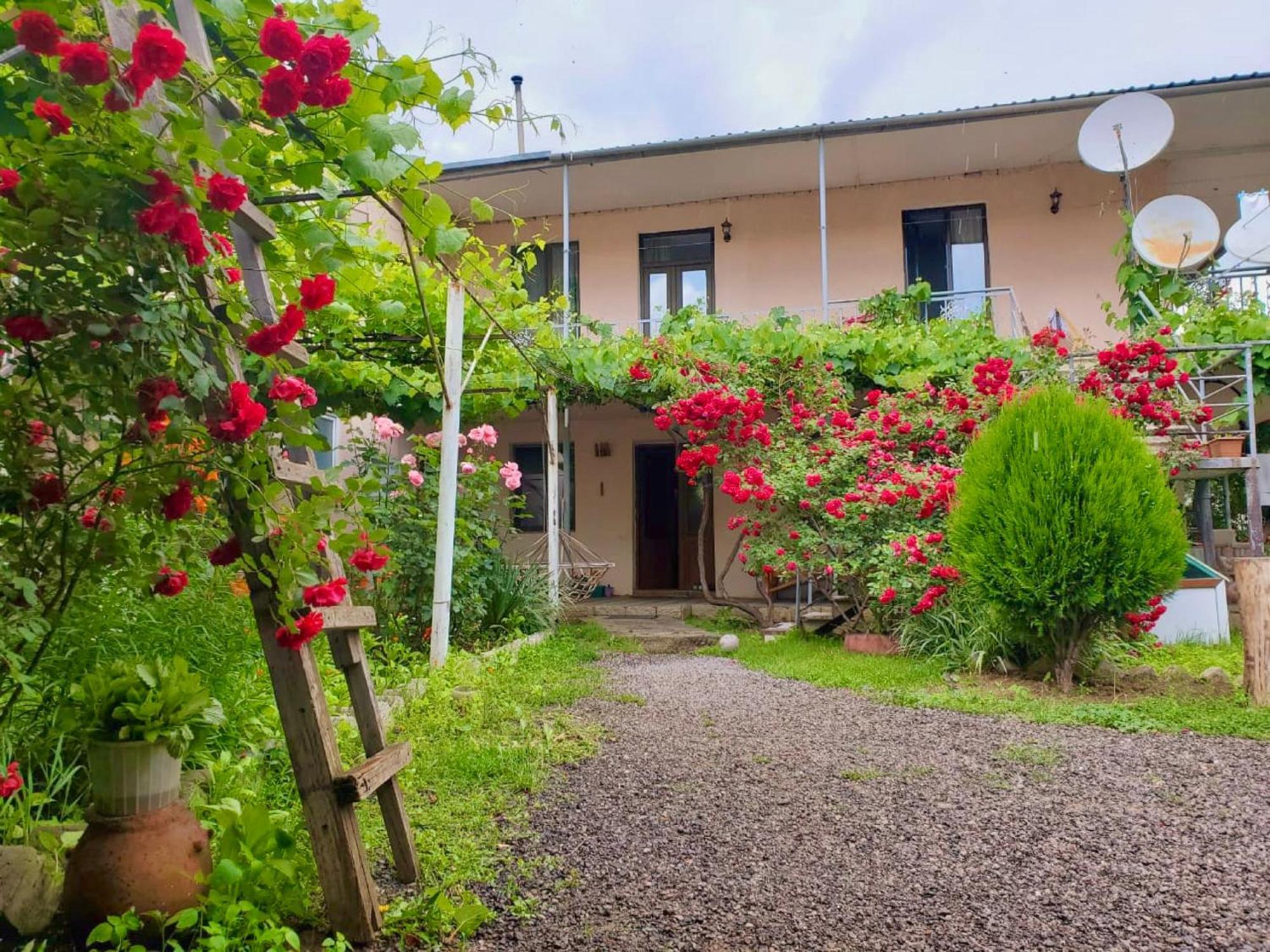 Guesthouse Mtkvari Nakalakevi Exterior photo